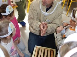 50255336111705827282030076579973372381090781n